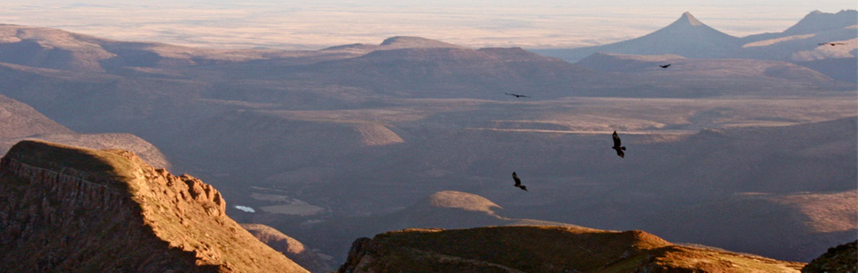 Mount Camdeboo Hotel Graaff-Reinet Eksteriør billede