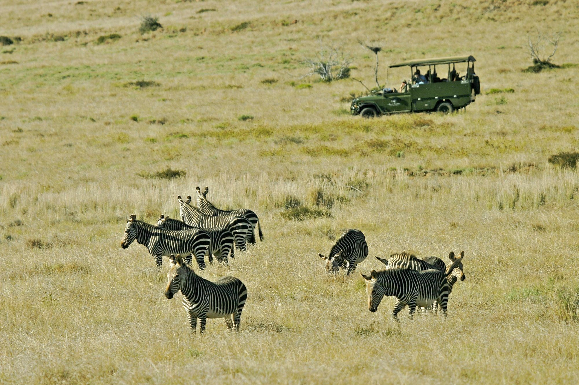 Mount Camdeboo Hotel Graaff-Reinet Eksteriør billede